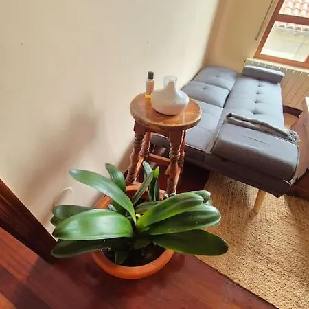 Apartment Barquina House In The Heart Of San Vicente *