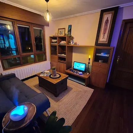 Barquina House In The Heart Of San Vicente Apartment *